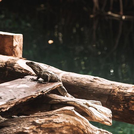 Готель Uman Glamping & Cenote Тулум Екстер'єр фото