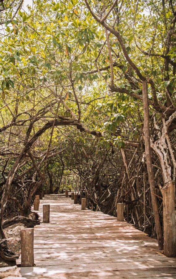 Готель Uman Glamping & Cenote Тулум Екстер'єр фото