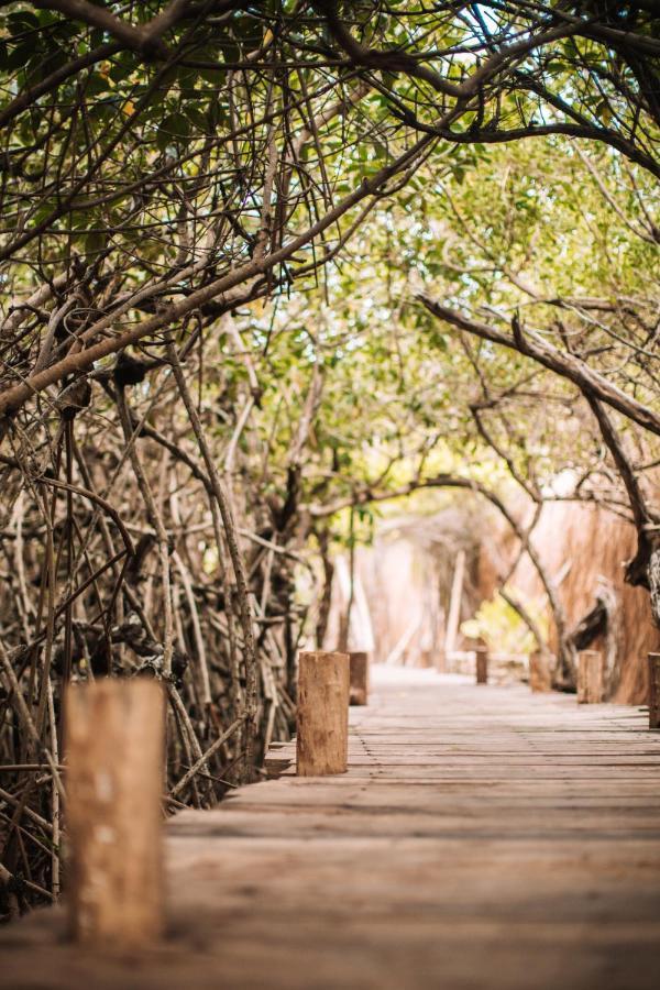 Готель Uman Glamping & Cenote Тулум Екстер'єр фото