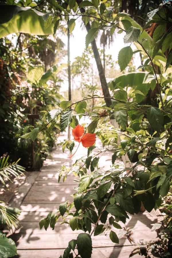 Готель Uman Glamping & Cenote Тулум Екстер'єр фото