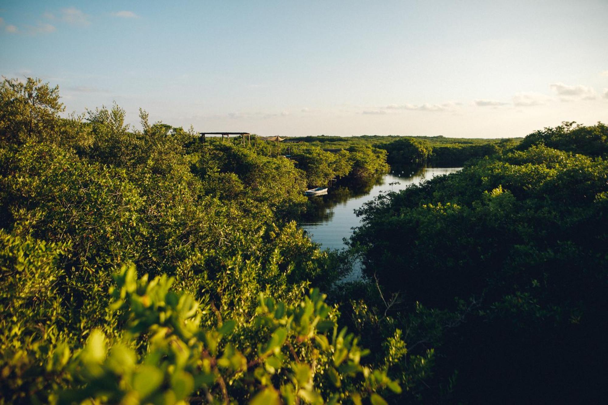Готель Uman Glamping & Cenote Тулум Екстер'єр фото