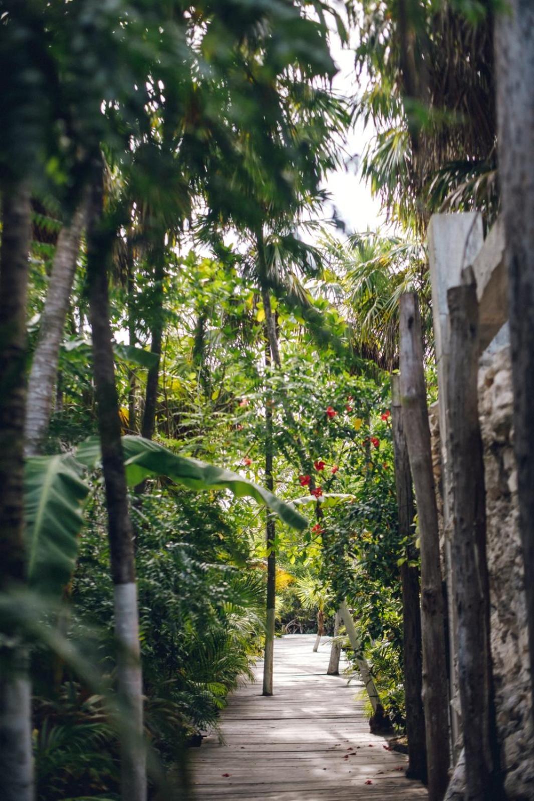 Готель Uman Glamping & Cenote Тулум Екстер'єр фото